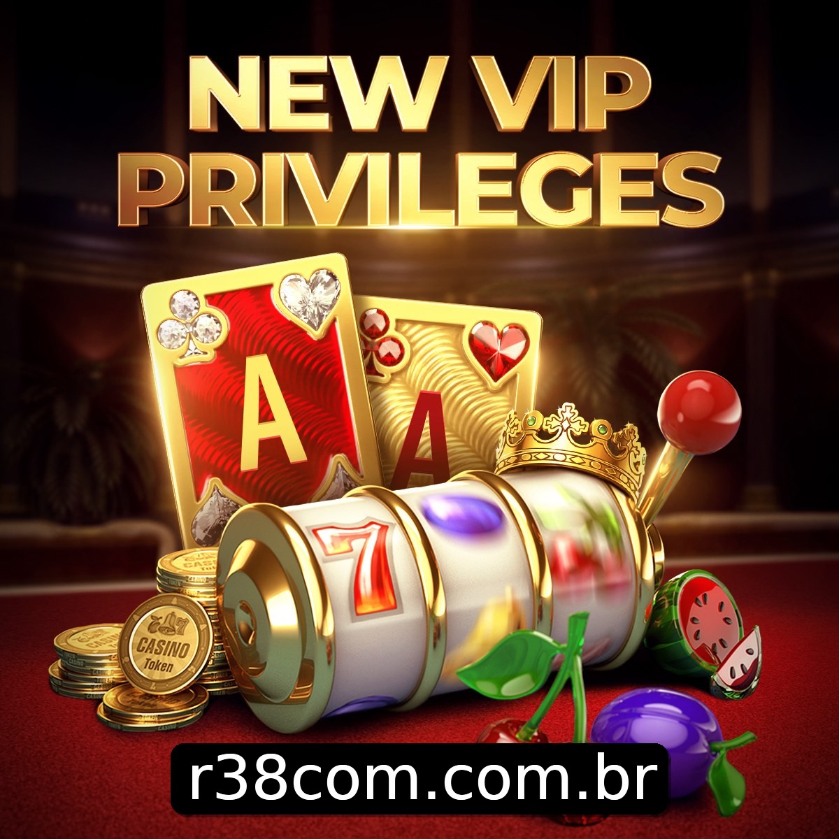 Programa VIP r38